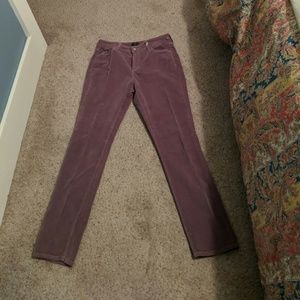 NYD Jeans in purple cord legging style